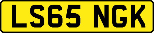 LS65NGK