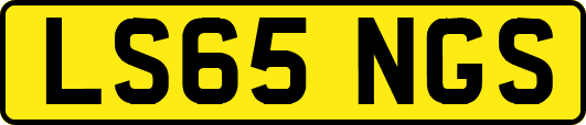 LS65NGS