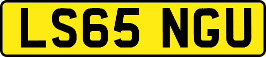LS65NGU