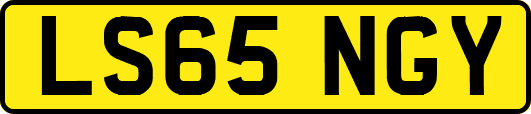 LS65NGY