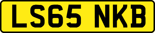 LS65NKB