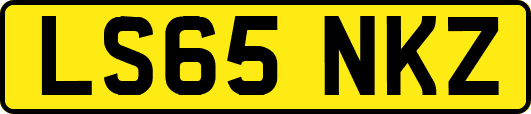 LS65NKZ