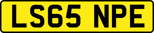LS65NPE