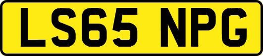LS65NPG