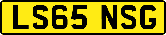LS65NSG
