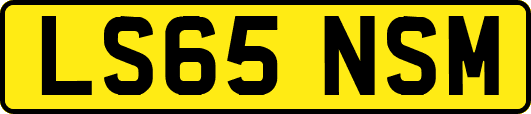 LS65NSM