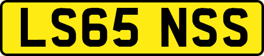LS65NSS