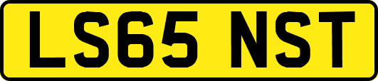 LS65NST