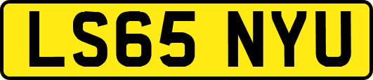 LS65NYU