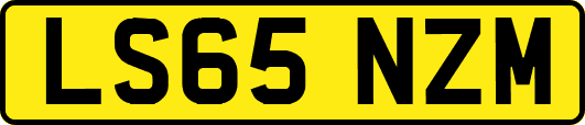 LS65NZM