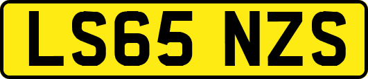 LS65NZS