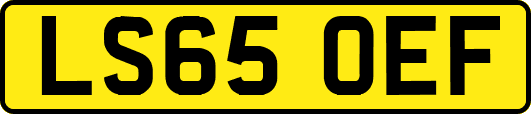 LS65OEF