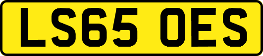 LS65OES