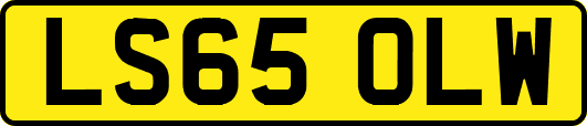 LS65OLW