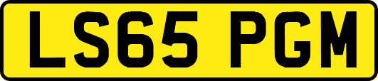 LS65PGM