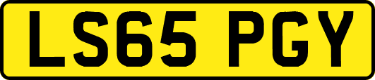LS65PGY