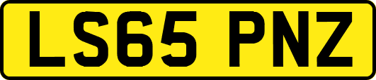 LS65PNZ