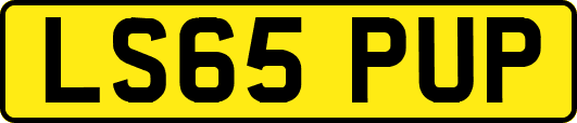 LS65PUP