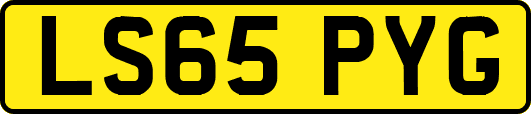 LS65PYG