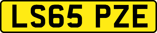 LS65PZE