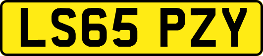 LS65PZY