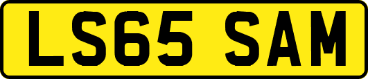 LS65SAM