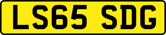 LS65SDG