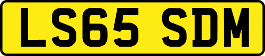 LS65SDM