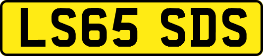 LS65SDS