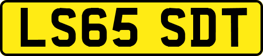 LS65SDT