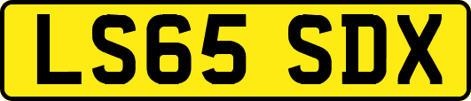 LS65SDX