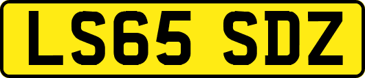 LS65SDZ