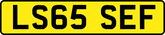 LS65SEF