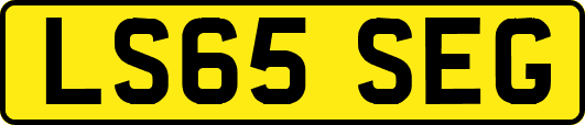 LS65SEG