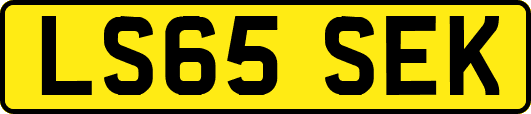 LS65SEK