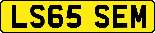 LS65SEM