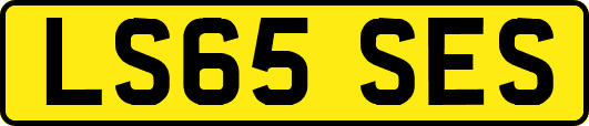 LS65SES