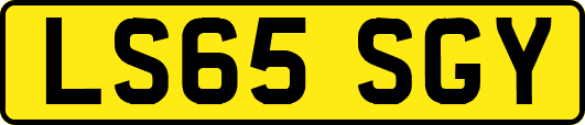 LS65SGY