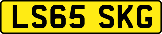 LS65SKG