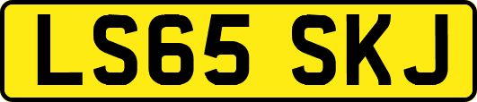 LS65SKJ