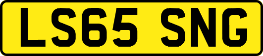 LS65SNG