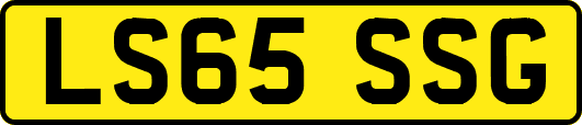 LS65SSG