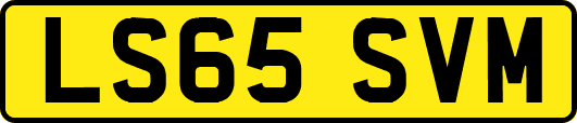 LS65SVM
