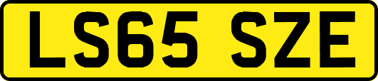 LS65SZE