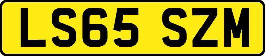 LS65SZM