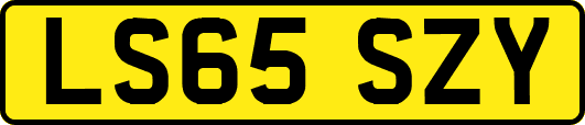 LS65SZY