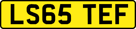 LS65TEF