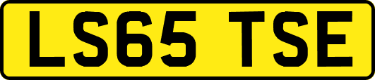 LS65TSE
