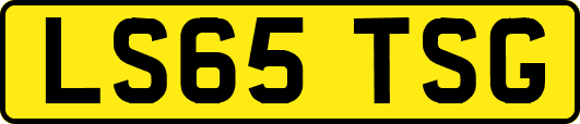 LS65TSG