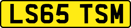 LS65TSM